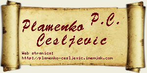 Plamenko Češljević vizit kartica